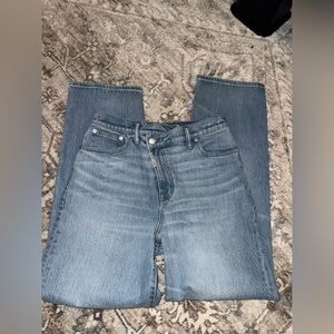 Madewell x Molly Dickson Blue Jeans